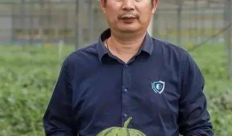 无锡吃瓜爆料公司有哪些,揭秘当地知名爆料公司大盘点