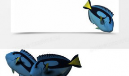 鱼 动漫,探寻奇幻动漫世界的奇幻之旅