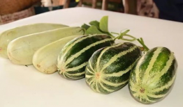 各种网红视频爆料吃瓜,揭秘娱乐圈吃瓜大事件！