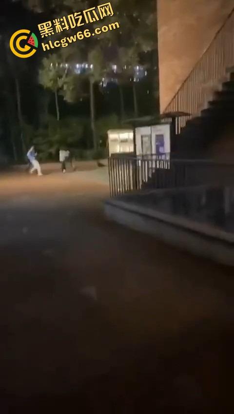 四川国际职业学院三舔狗为一个海后当街互殴，情敌互锤全员备胎，女主笑而不语继续约第4个！-8