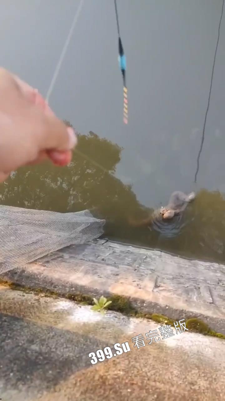 钓鱼佬篇  反正除了鱼啥都能钓到  就很离谱！-3